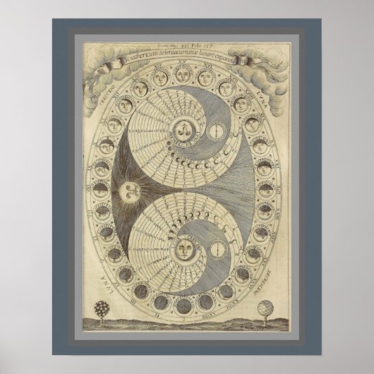  fasen van de maan 16 x 20 Poster (Voorkant)