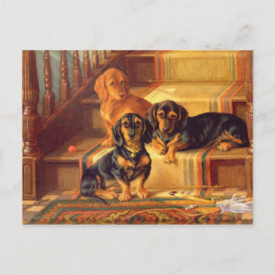 Fashionable Refinities Briefkaart