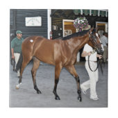 Fasig Tipton Select Sales (Verkoop in combinatie m Tegeltje (Voorkant)