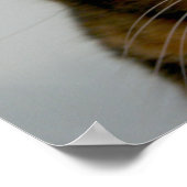 Fat Cat with Attitude, funny cat poster (Coin)