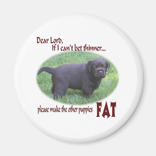 Fat Chocolate Lab Puppy Humor Magneet (Voorkant)