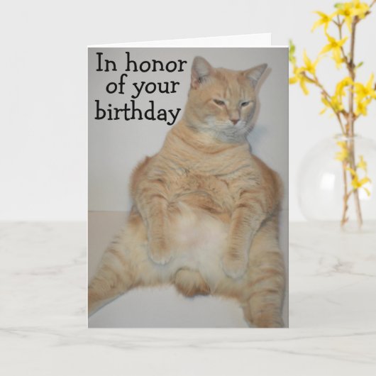 Fat Manx Chat assis drôle Carte d'anniversaire (Fleur jaune)