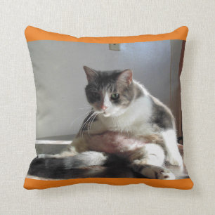Fat Tabby Cat Foto van Pillow Kussen