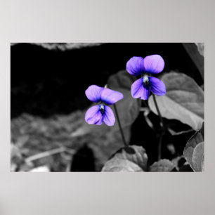 Fataal Violet Poster