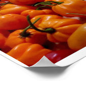 Fatalii's Chile Pepper Poster (Coin)