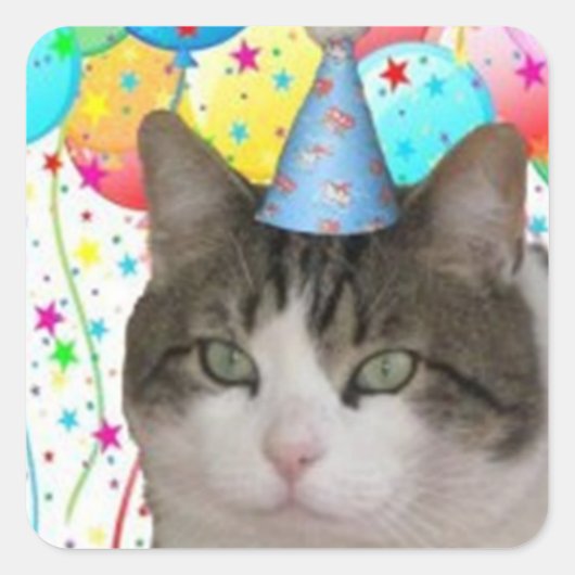 Fatboy Babushka Verjaardagsfeestje Stickers (Voorkant)