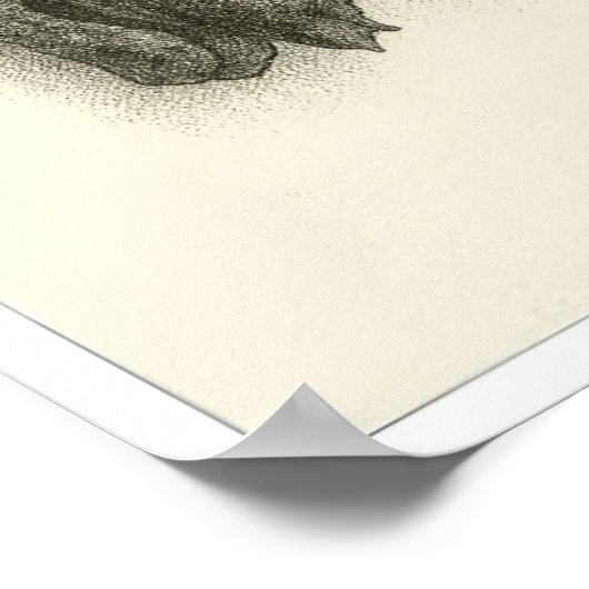 Fates de Singapour - Impression d'archives (Coin)