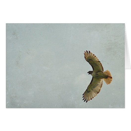 Faucon (Devant horizontal)