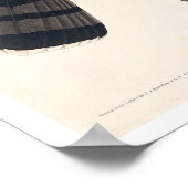Faucon aiguisé par Audubon Affiche (Coin)