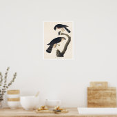 Faucon aiguisé par Audubon Affiche (Cuisine)