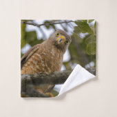 Faucon de bord de route, photo Brown d'oiseaux (Gant de toilette)