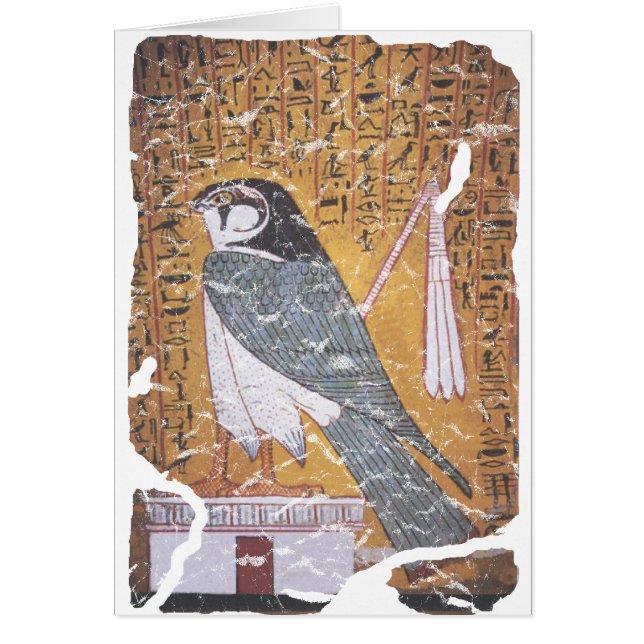 Faucon noir (Devant)