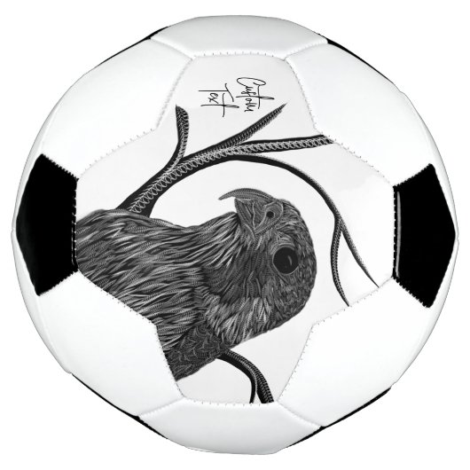 Faucon pèlerin dans les branches de l'arbre avec é (Tourné)