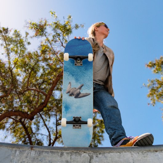 faucon pèlerin skateboard (Extérieur 1)