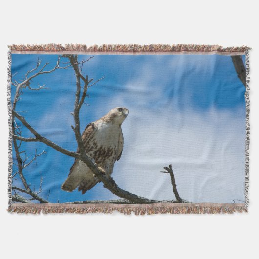 Faucon Sur La Chasse Jetez La Couverture (Devant)