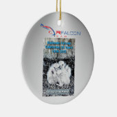 Faucons Rfalconcam-ROC 25 ans Ornement (Droite)