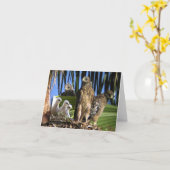 Faucons Rouge-Épaulés • Joe Sweeney - carte (Fleur jaune)