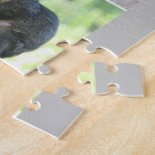 Faune 15 animaux photographiés dans le Puzzle sauv (Côté)