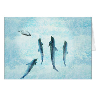 faune aquatique, dauphins dansants