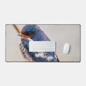 Faune au Canada : Oiseau d'hirondelle de grange (Clavier et souris)