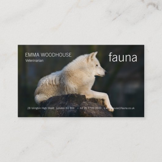 Faune - carte de visite arctique de loup (Devant)