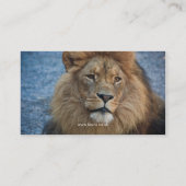 Faune - carte de visite de lion (Dos)