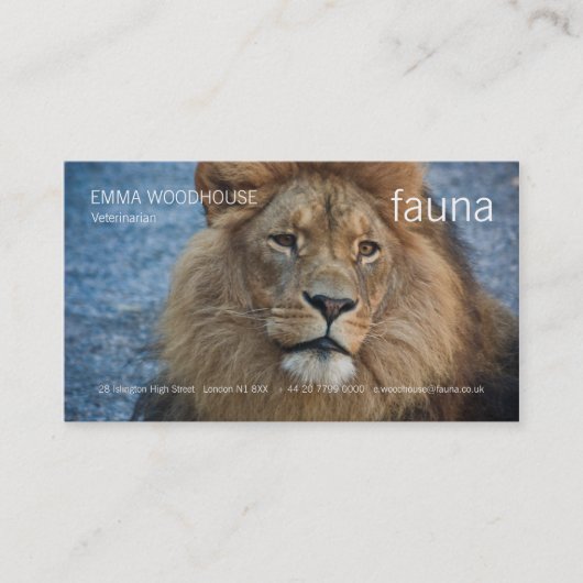 Faune - carte de visite de lion (Devant)