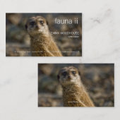 Faune - carte de visite de Meerkat (Devant / Derrière)