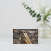 Faune - carte de visite de Meerkat (Debout devant)