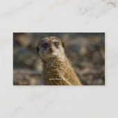 Faune - carte de visite de Meerkat (Dos)
