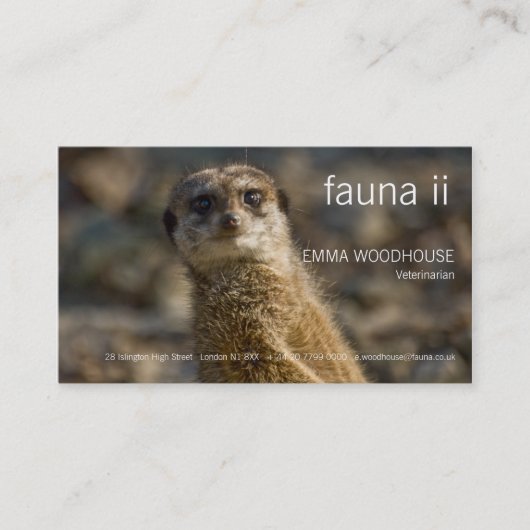 Faune - carte de visite de Meerkat (Devant)