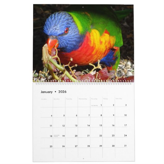 Faune dans le calendrier de Nerang 2016 (Jan 2026)