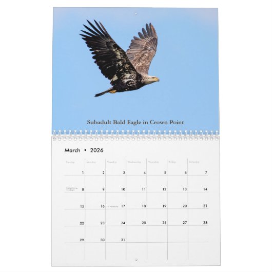 Faune dans les Adirondacks Calendrier 2026 (Mar 2026)