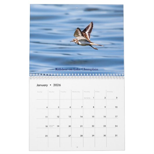 Faune dans les Adirondacks Calendrier 2026 (Jan 2026)