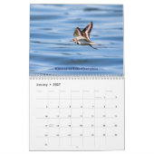 Faune dans les Adirondacks Calendrier 2026 (Jan 2027)