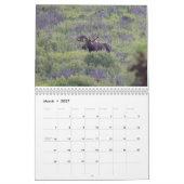 Faune de l'Alaska Calendrier (Mar 2027)