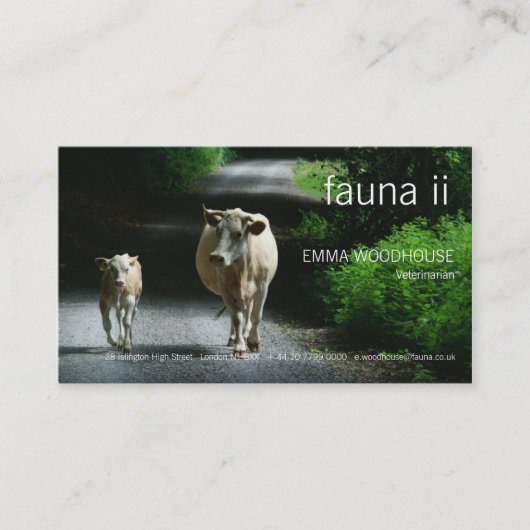 Faune - deux vaches sur le carte de visite de (Devant)