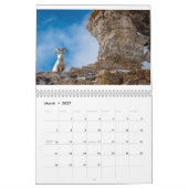 Faune Du Calendrier Des Tétons (Mar 2027)