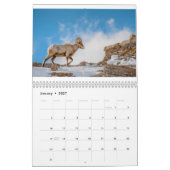 Faune Du Calendrier Des Tétons (Jan 2027)