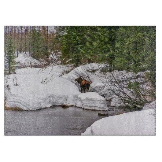 Faune en verre d'orignaux de planche à découper (Devant)