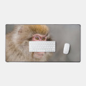 Faune japonaise : Singe des neiges Brown (Clavier et souris)