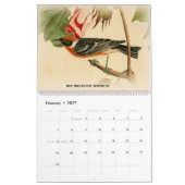 Fauvettes de John Audubon 2 oiseaux de calendrier (Feb 2027)
