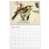 Fauvettes de John Audubon 2 oiseaux de calendrier (Mar 2027)
