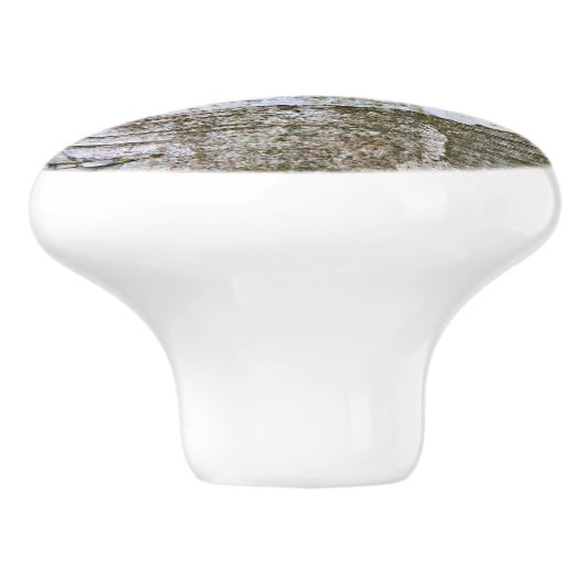 Faux Birch Tree Bark Texture Kijk Pattern Keramische Knop (Zijkant)