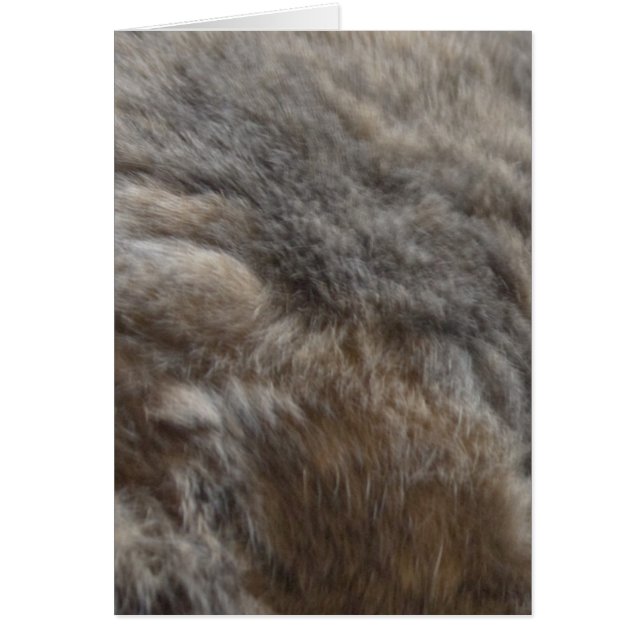 Faux Cat Fur look (Voorkant)