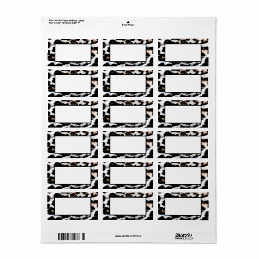 Faux Cheetah Design - Étiquette à cadre ouvert (Feuille entière)