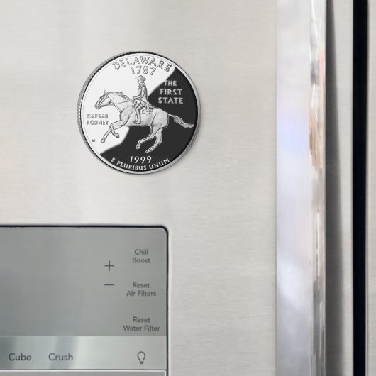 Faux Delaware State Quarter Magneet (Insitu (Koelkast))