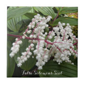 Faux Fleurs de phoques de Salomon Carreaux de céra (Devant)