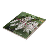 Faux Fleurs de phoques de Salomon Carreaux de céra (Côté)