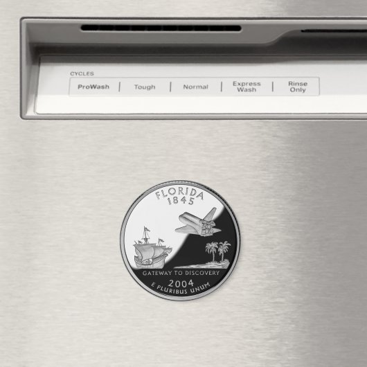 Faux Florida State Quarter Magneet (Insitu (Vaatwasser))